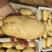 精品荷兰土豆，基地精品货源，精挑细选，个头均匀，供货全国
