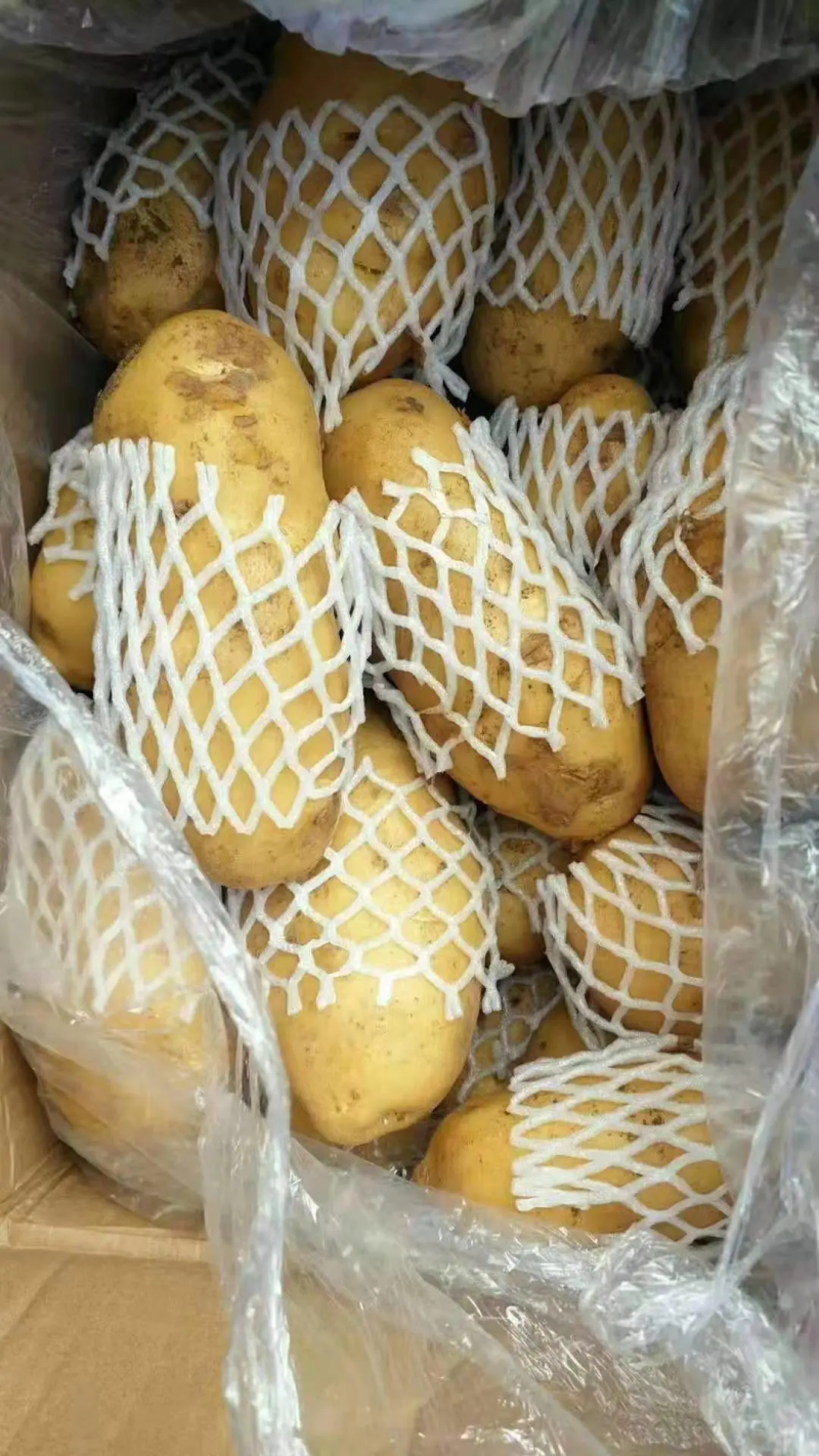 精品荷兰土豆，基地精品货源，精挑细选，个头均匀，供货全国