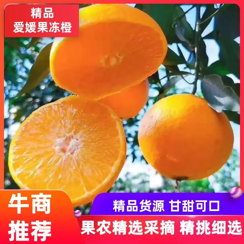 精品爱媛果冻橙，无核甜蜜多汁，欢迎下单咨询