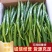 【线椒】山东黑线椒，黄线椒大量有货。新鲜采摘，色泽鲜亮。