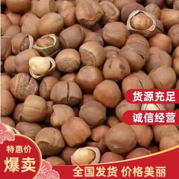 【精选】5斤包邮大粒纯开原包山野生榛子，皮薄仁满手拍榛子