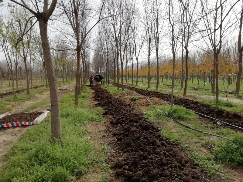 纯牛粪蚯蚓粪有机肥花木营养土农家肥土壤改良无土栽培育基质