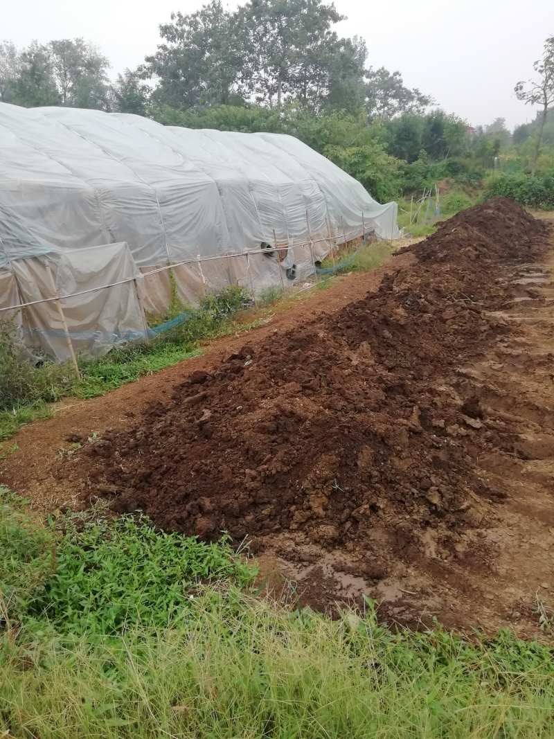 纯牛粪蚯蚓粪有机肥花木营养土农家肥土壤改良无土栽培育基质