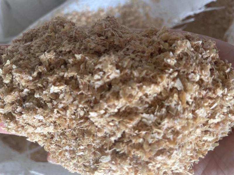 金沙河麸皮装车中欢迎订购五得利益海中粮特价麸皮出货