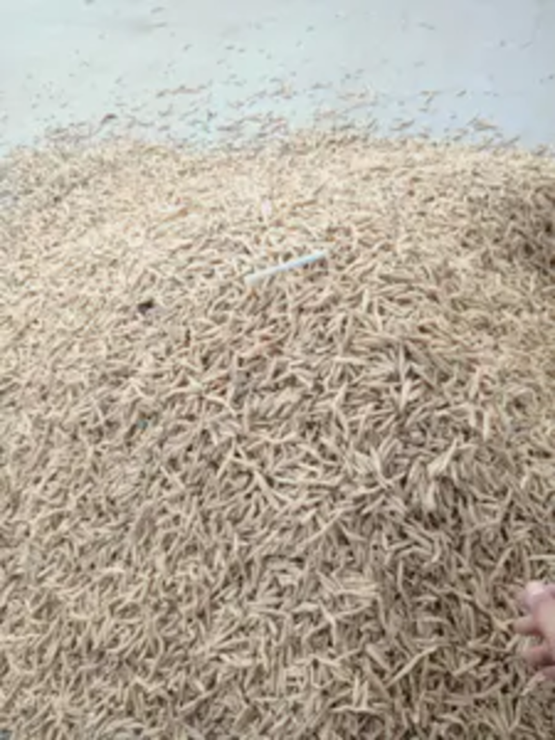 麦冬，自然晾晒产地直供麦冬，精选麦冬全国发货
