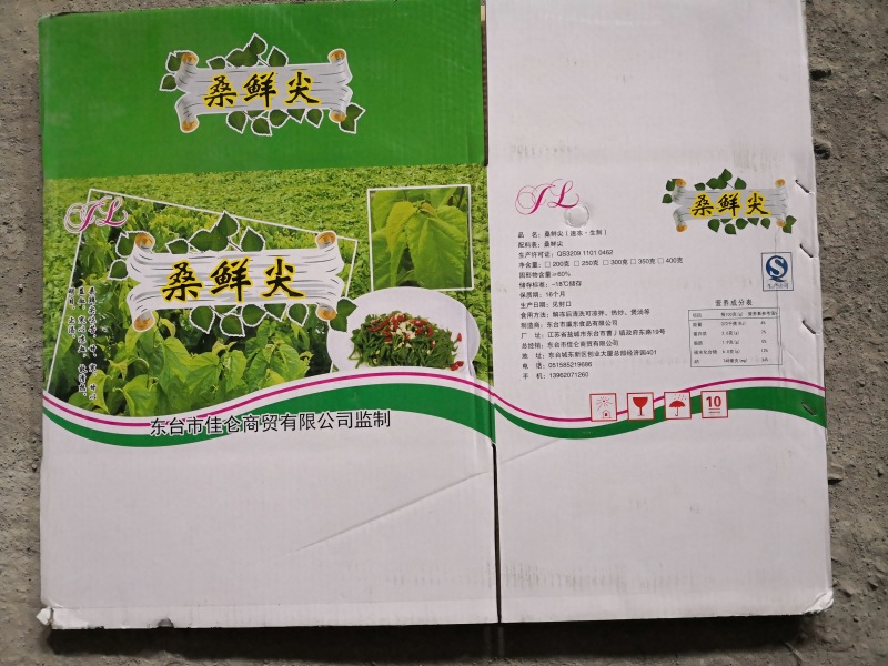 精品桑芽菜冷冻桑叶桑芽菜特色野菜酒店专供