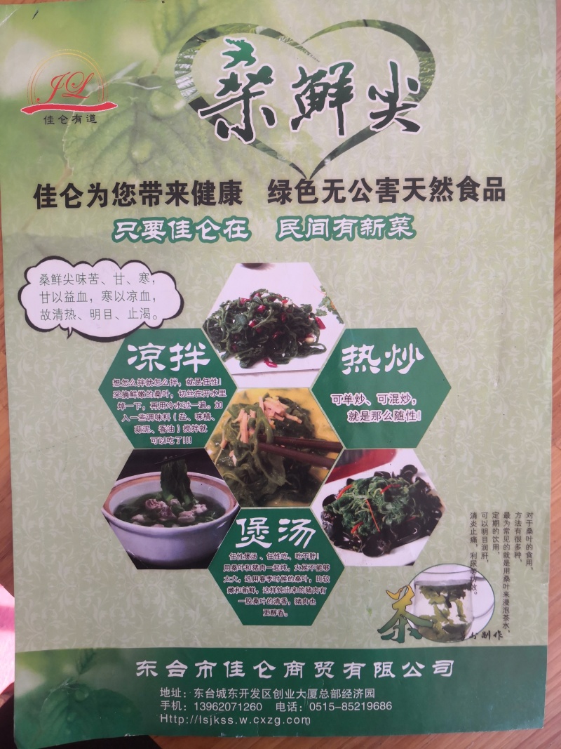 精品桑芽菜冷冻桑叶桑芽菜特色野菜酒店专供