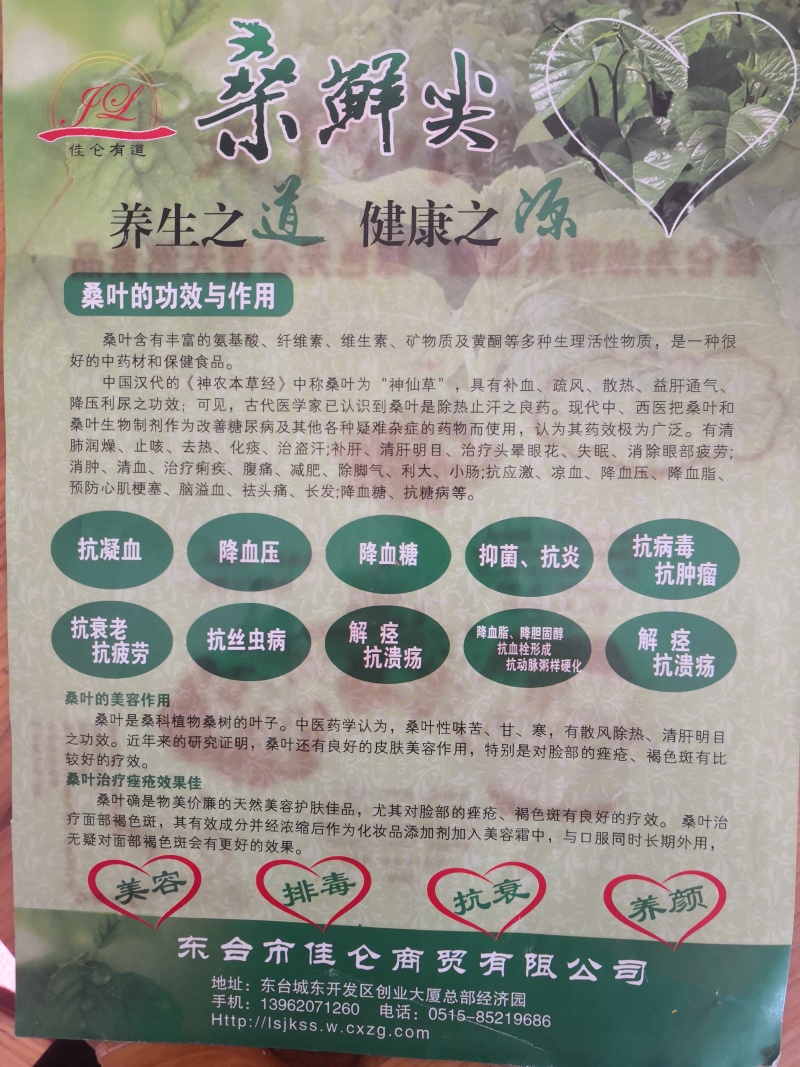 精品桑芽菜冷冻桑叶桑芽菜特色野菜酒店专供