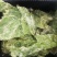 精品桑芽菜冷冻桑叶桑芽菜特色野菜酒店专供