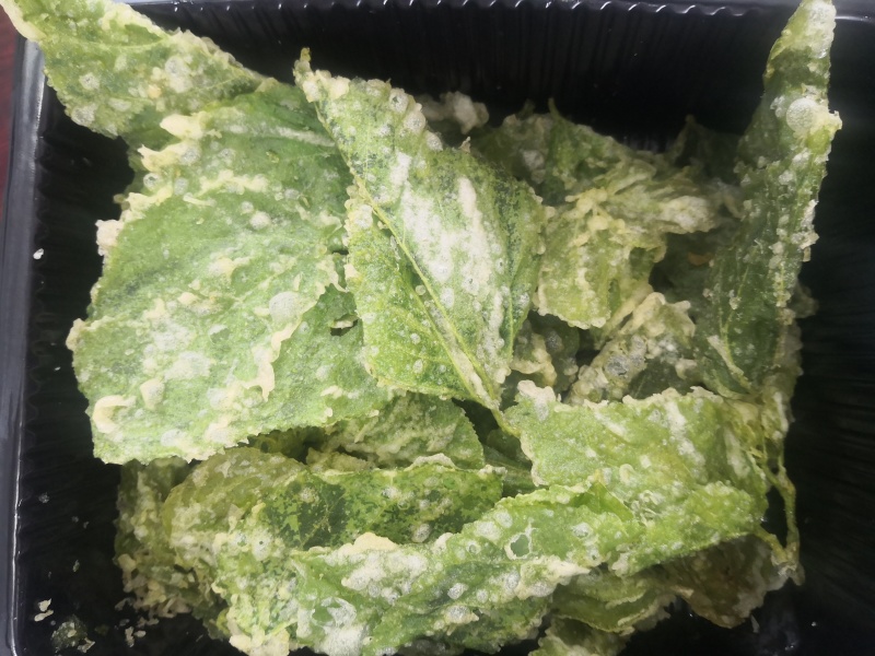 精品桑芽菜冷冻桑叶桑芽菜特色野菜酒店专供