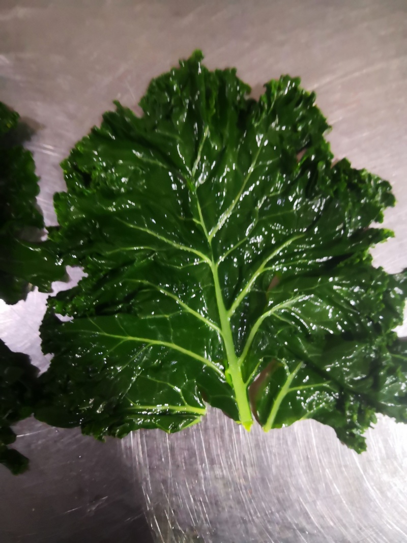 精品珊瑚菜珊瑚藻产地直销发货欢迎致电咨询价格实惠