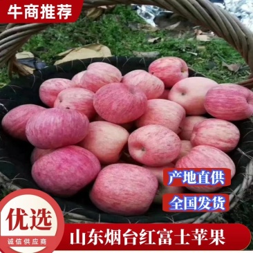 山东红富士苹果，条纹，万亩产地口感脆甜皮薄欢迎咨询