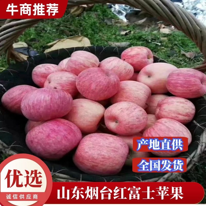 山东红富士苹果，条纹，万亩产地口感脆甜皮薄欢迎咨询