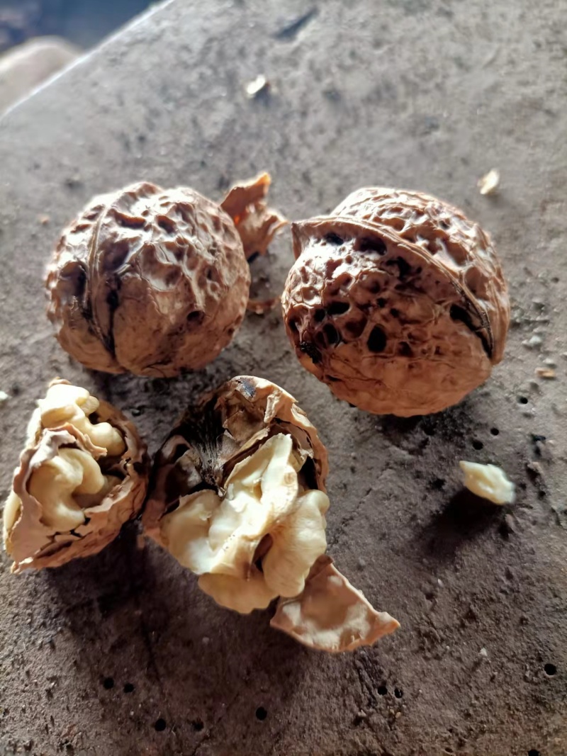 精品核桃仁云南产地直供一手货源价格优惠欢迎咨询