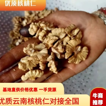 精品核桃仁云南产地直供一手货源价格优惠欢迎咨询