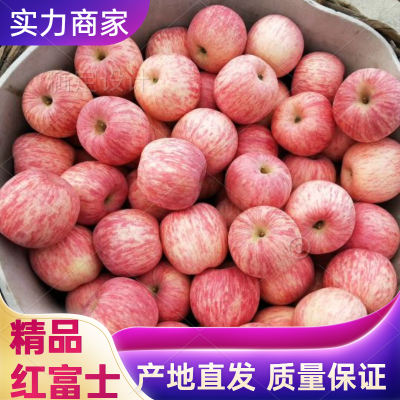 苹果，红富士苹果，山东烟台红富士苹果，量大从优产地直发