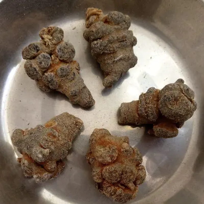 云南文山农家自然晒三七可以视频打粉一手货源品质保证