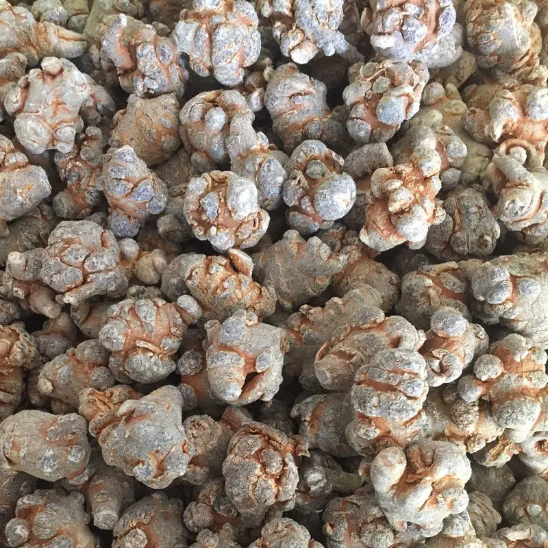云南文山农家自然晒三七可以视频打粉一手货源品质保证