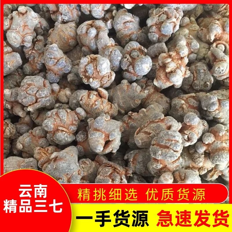 云南文山农家自然晒三七可以视频打粉一手货源品质保证