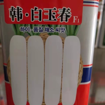 春白玉萝卜种子质量保证全国发货售后无忧欢迎联系