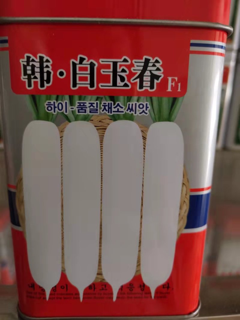 春白玉萝卜种子质量保证全国发货售后无忧欢迎联系