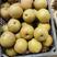 梨黄梨光果150~200g加工用梨半斤以上不坏果。