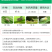 70%吡虫啉农药杀虫剂蓟马蚜虫腻粉虱小黑飞蔬菜果树花卉