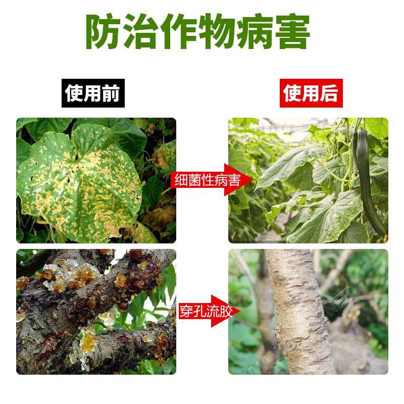 36%春雷霉素喹啉铜柑橘杀细菌专用溃疡病角斑病流胶杀菌剂