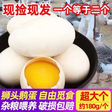 【精品推荐】新鲜鹅蛋优质特大农家散养品质保证防震