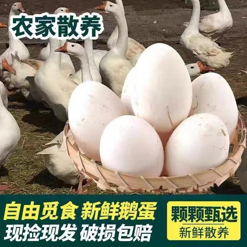 【精品推荐】新鲜鹅蛋优质特大农家散养品质保证防震