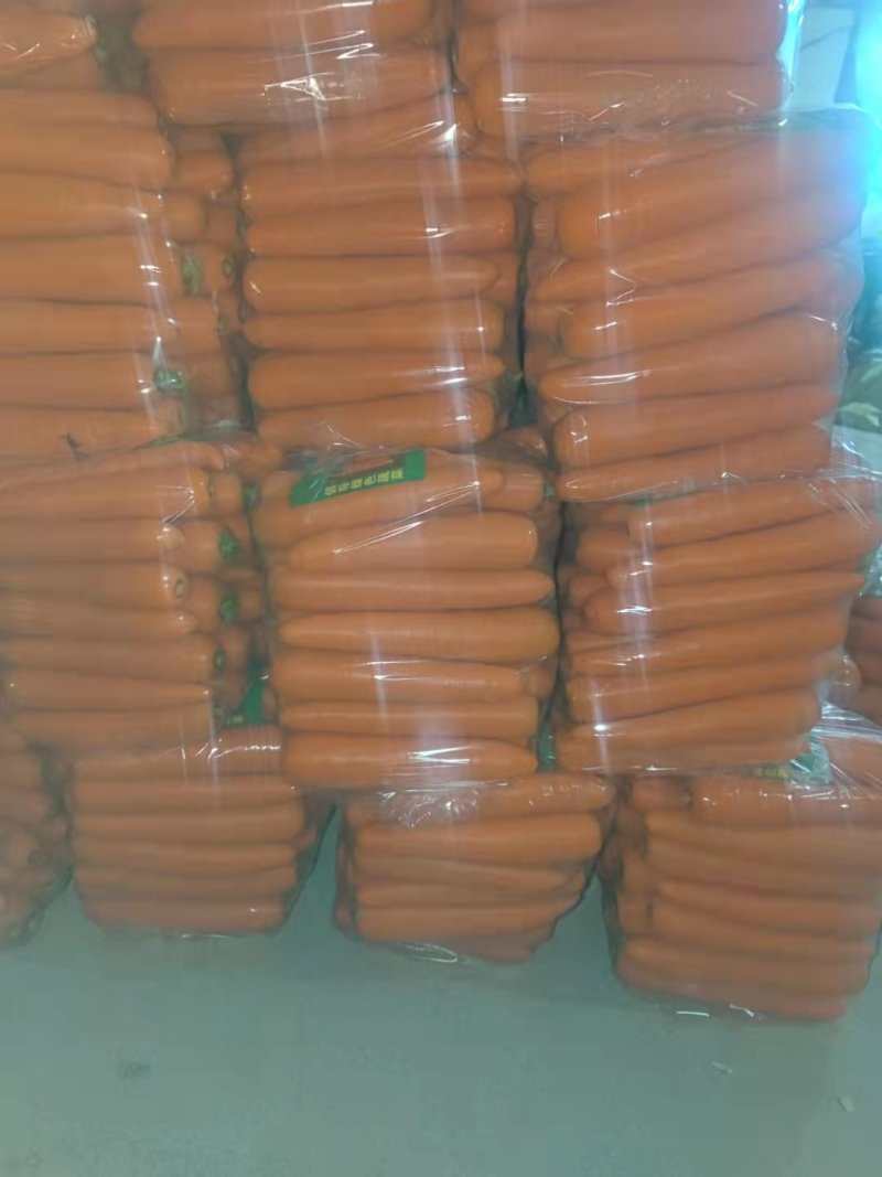 精品红萝卜，大中小条都有，基地直发，全国走货