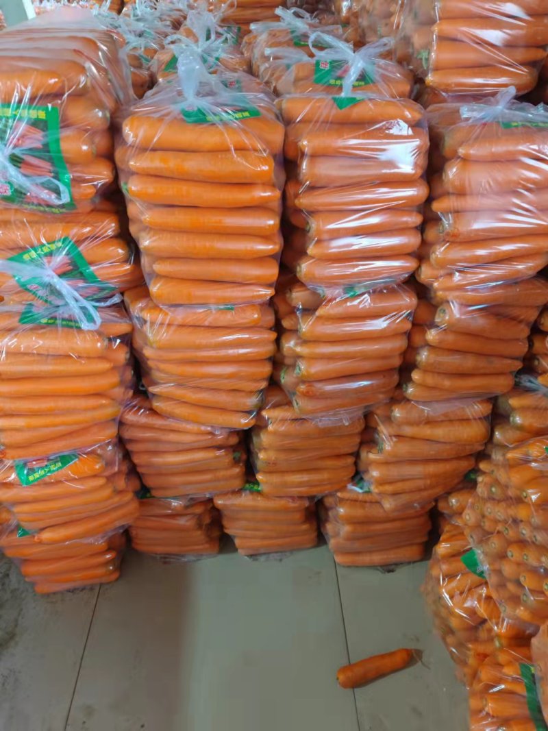 精品红萝卜，大中小条都有，基地直发，全国走货