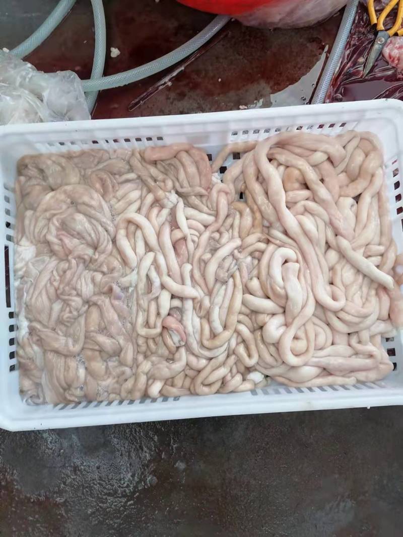 【好货】羊肥肠盘肠干净，纯干货，品质保证欢迎咨询