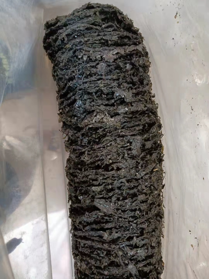 紫菜有料包40克，货源充足，全国批发，诚信经营
