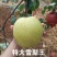精品雪花梨一手货源保质保量坏单包赔欢迎咨询