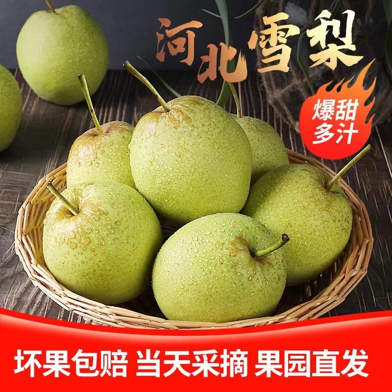 精品雪花梨一手货源保质保量坏单包赔欢迎咨询