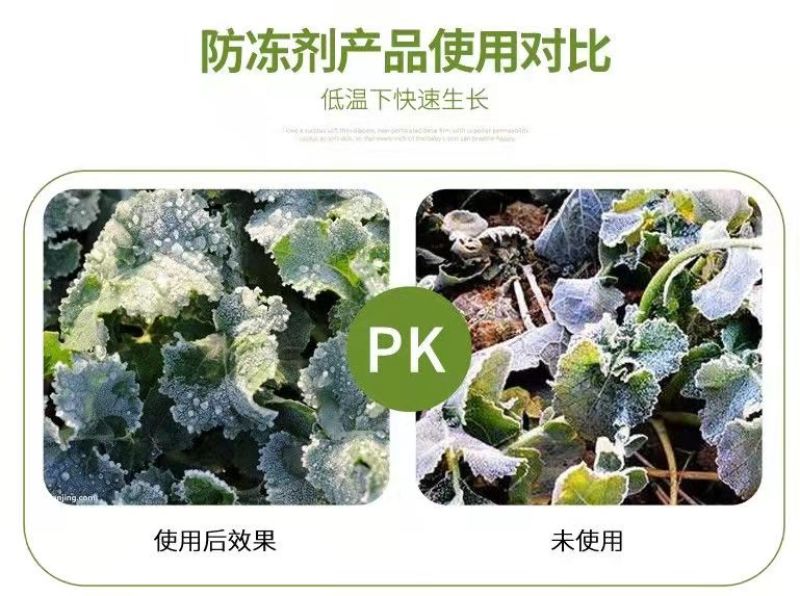 植物磁化防冻剂果树蔬菜花卉中药材防冻抗寒防冻剂安全过冬