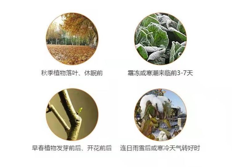 植物磁化防冻剂果树蔬菜花卉中药材防冻抗寒防冻剂安全过冬
