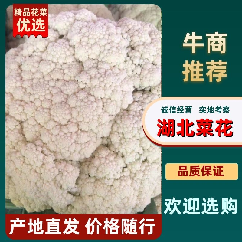 【品质】湖北省天门市，基地货，花耶菜散菜花，结花大量上市