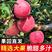 【苹果】精品红富士苹果脆甜多汁商超品质可视频看货