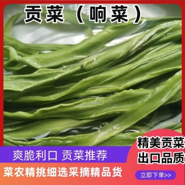 批发脱水贡菜干产地直发规格可定货源稳定