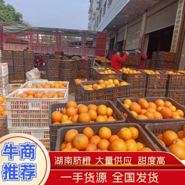 湖南脐橙大量供应，崀山脐橙，原产地直销，产地直发
