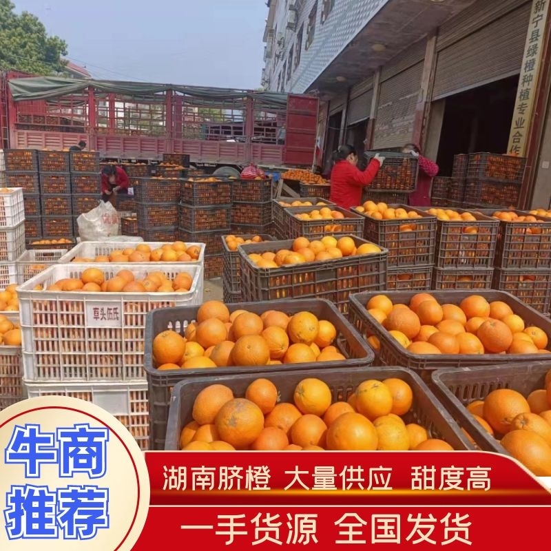 湖南脐橙大量供应，崀山脐橙，原产地直销，产地直发