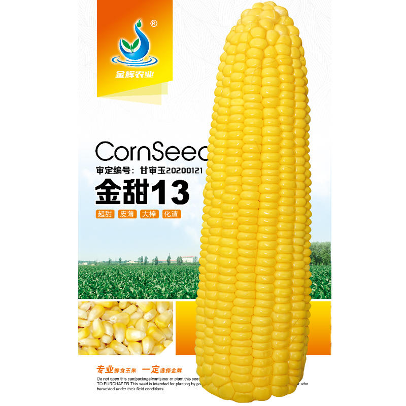 【审定】水果玉米种子黄色超甜早熟大棒皮薄化渣厂家直销包邮