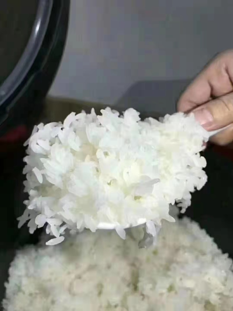 东北响水石板大米核心产区，稻花香2号水稻
