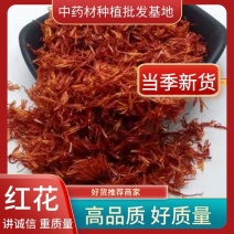 【一件代发】红花山东红花颜色好无杂质产地货源