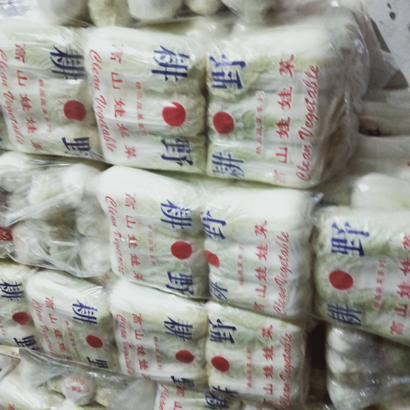精品娃娃菜质量保证，产地直售，量大从优，欢迎选购