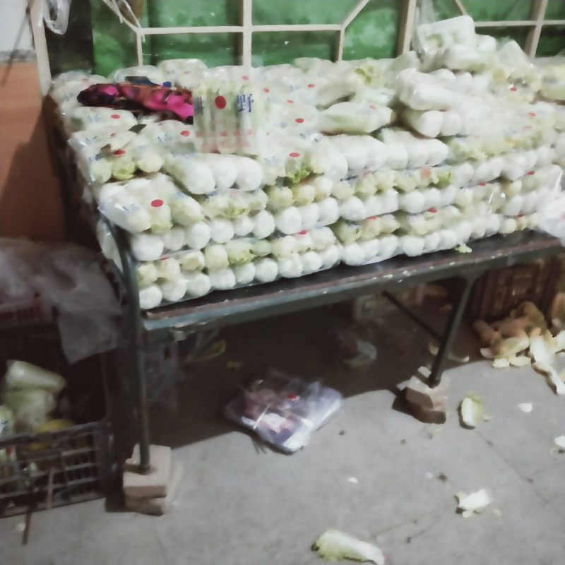 精品娃娃菜质量保证，产地直售，量大从优，欢迎选购