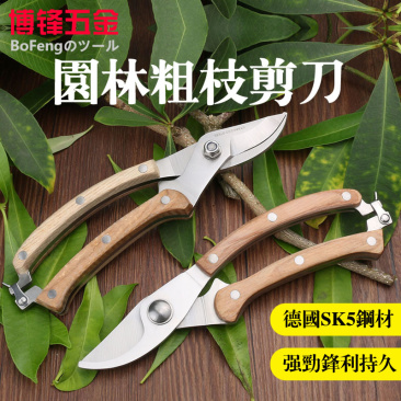 德国进口钢省力修枝剪树枝修花剪刀粗枝剪园艺工具果树剪
