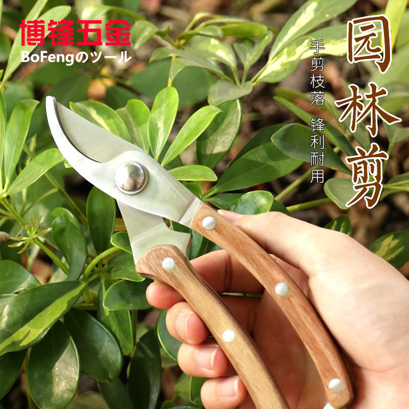 德国进口钢省力修枝剪树枝修花剪刀粗枝剪园艺工具果树剪